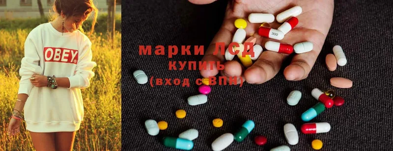 как найти наркотики  Белокуриха  ОМГ ОМГ   LSD-25 экстази кислота 